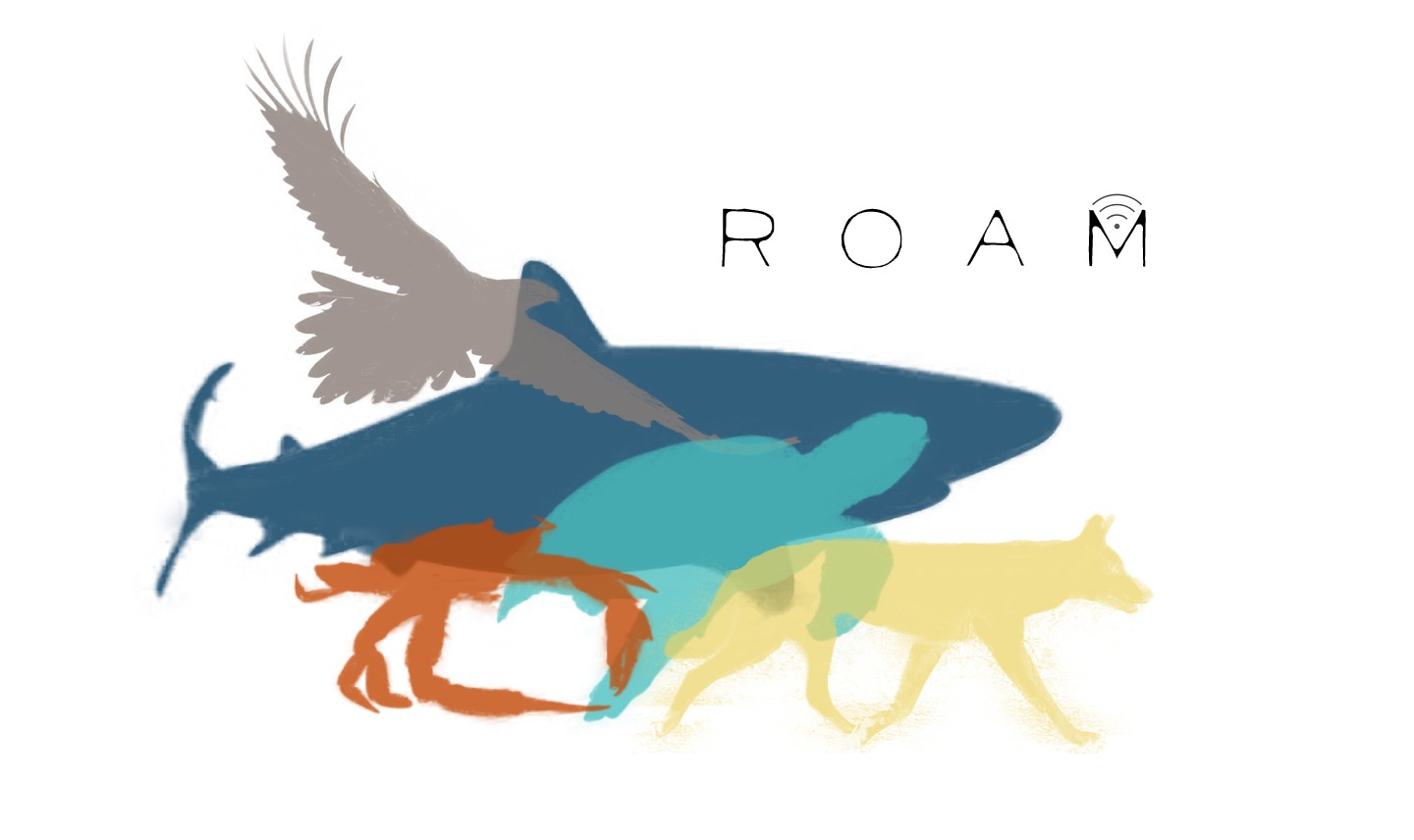 ROAM logo